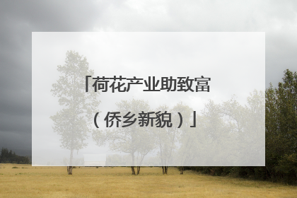 荷花产业助致富（侨乡新貌）