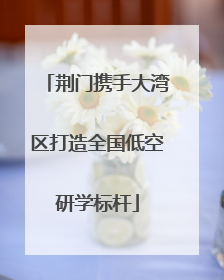 荆门携手大湾区打造全国低空研学标杆