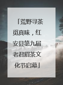 荒野寻茶觅真味，红安县第九届老君眉茶文化节启幕