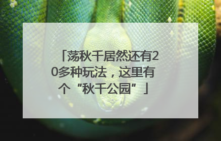 荡秋千居然还有20多种玩法，这里有个“秋千公园”