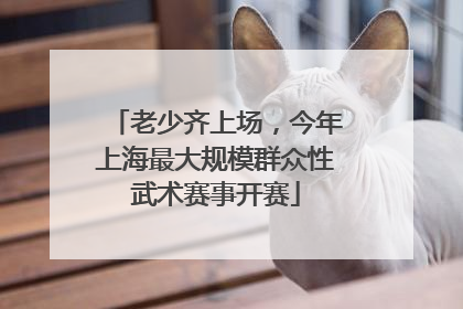 老少齐上场，今年上海最大规模群众性武术赛事开赛