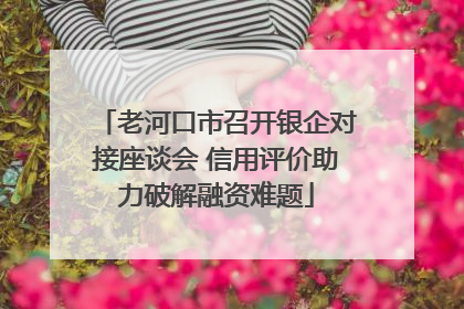 老河口市召开银企对接座谈会 信用评价助力破解融资难题