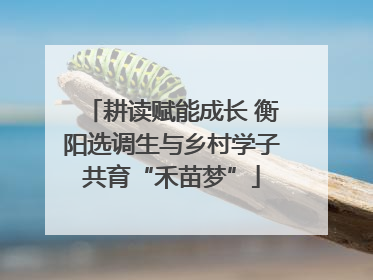 耕读赋能成长 衡阳选调生与乡村学子共育“禾苗梦”