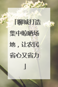 聊城打造集中晾晒场地，让农民省心又省力