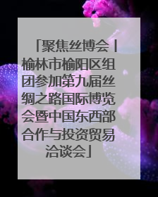 聚焦丝博会丨榆林市榆阳区组团参加第九届丝绸之路国际博览会暨中国东西部合作与投资贸易洽谈会