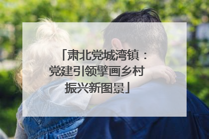 肃北党城湾镇：党建引领擘画乡村振兴新图景