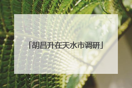 胡昌升在天水市调研
