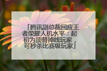 腾讯副总裁回应王者荣耀人机水平:起初为顶替掉线玩家,可秒杀比赛级玩家