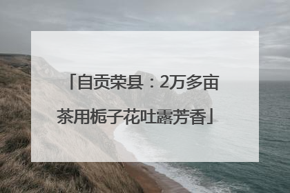 自贡荣县：2万多亩茶用栀子花吐露芳香