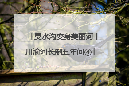 臭水沟变身美丽河丨川渝河长制五年间④