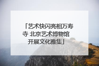 艺术快闪亮相万寿寺 北京艺术博物馆开展文化雅集