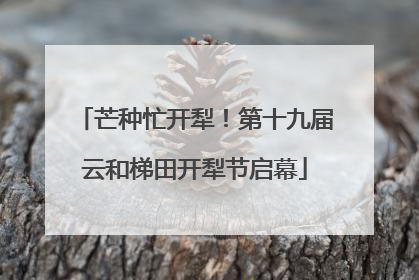 芒种忙开犁！第十九届云和梯田开犁节启幕