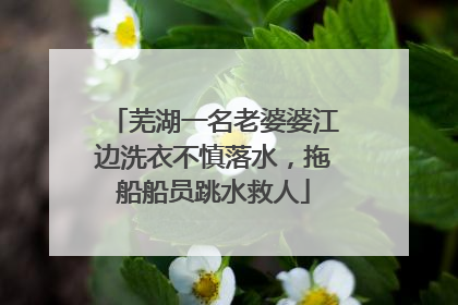 芜湖一名老婆婆江边洗衣不慎落水，拖船船员跳水救人