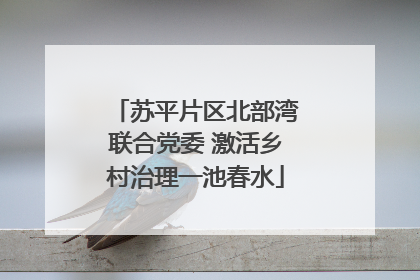苏平片区北部湾联合党委 激活乡村治理一池春水