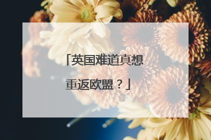 英国难道真想重返欧盟？
