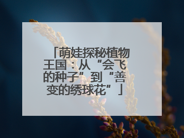 萌娃探秘植物王国：从“会飞的种子”到“善变的绣球花”