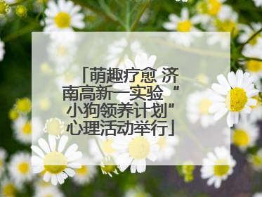 萌趣疗愈 济南高新一实验“小狗领养计划”心理活动举行
