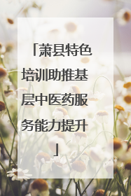 萧县特色培训助推基层中医药服务能力提升