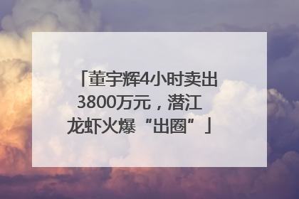 董宇辉4小时卖出3800万元，潜江龙虾火爆“出圈”