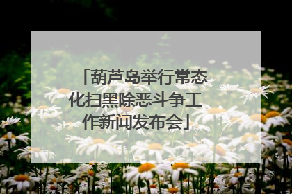 葫芦岛举行常态化扫黑除恶斗争工作新闻发布会