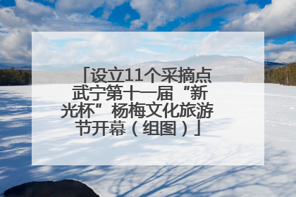 设立11个采摘点 武宁第十一届“新光杯”杨梅文化旅游节开幕（组图）