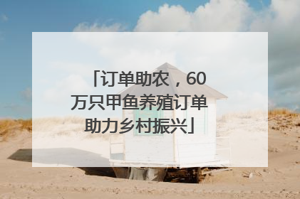订单助农，60万只甲鱼养殖订单助力乡村振兴