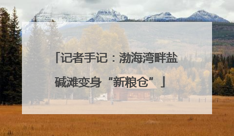 记者手记：渤海湾畔盐碱滩变身“新粮仓”