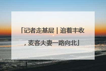 记者走基层｜追着丰收，麦客夫妻一路向北