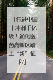 行进中国丨冲刺千亿级！通化医药高新区踏上“新”征程