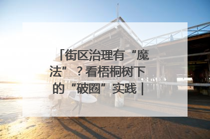街区治理有“魔法”？看梧桐树下的“破圈”实践｜我在街区当书记