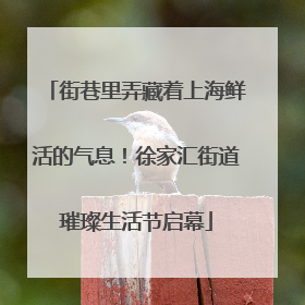 街巷里弄藏着上海鲜活的气息！徐家汇街道璀璨生活节启幕