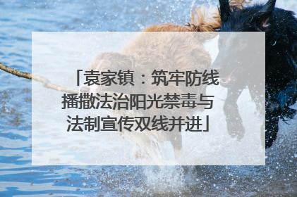 袁家镇：筑牢防线播撒法治阳光禁毒与法制宣传双线并进
