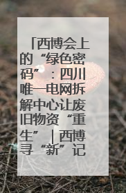 西博会上的“绿色密码”：四川唯一电网拆解中心让废旧物资“重生”｜西博寻“新”记
