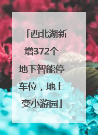 西北湖新增372个地下智能停车位，地上变小游园