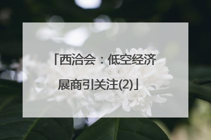 西洽会：低空经济展商引关注(2)