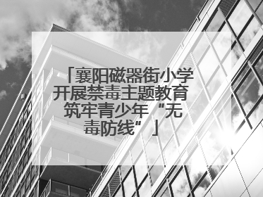 襄阳磁器街小学开展禁毒主题教育 筑牢青少年“无毒防线”