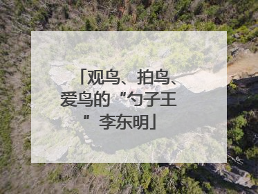 观鸟、拍鸟、爱鸟的“勺子王”李东明