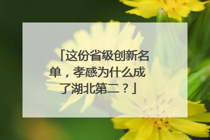 这份省级创新名单，孝感为什么成了湖北第二？