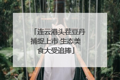 连云港头茬豆丹捕捉上市 生态美食大受追捧