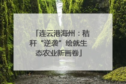 连云港海州：秸秆“逆袭”绘就生态农业新画卷