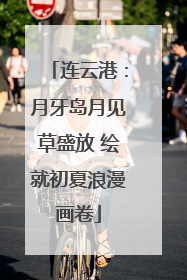 连云港：月牙岛月见草盛放 绘就初夏浪漫画卷