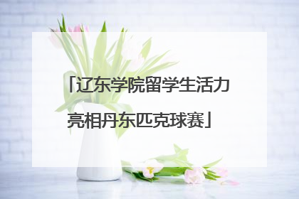辽东学院留学生活力亮相丹东匹克球赛