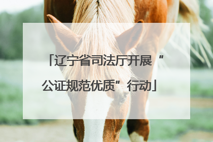 辽宁省司法厅开展“公证规范优质”行动