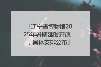辽宁省博物馆2025年暑期延时开放，具体安排公布