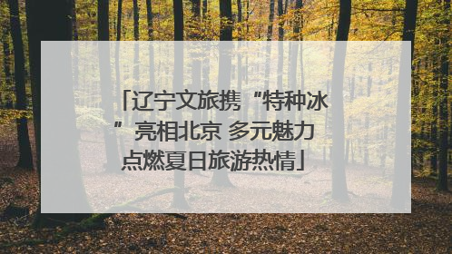 辽宁文旅携“特种冰”亮相北京 多元魅力点燃夏日旅游热情