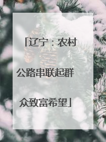 辽宁：农村公路串联起群众致富希望