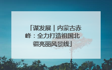 谋发展｜内蒙古赤峰：全力打造祖国北疆亮丽风景线