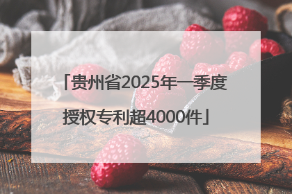 贵州省2025年一季度授权专利超4000件