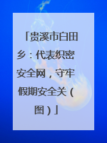 贵溪市白田乡：代表织密安全网，守牢假期安全关（图）