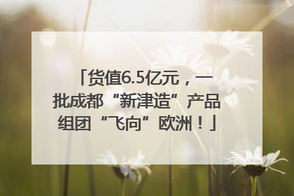货值6.5亿元，一批成都“新津造”产品组团“飞向”欧洲！